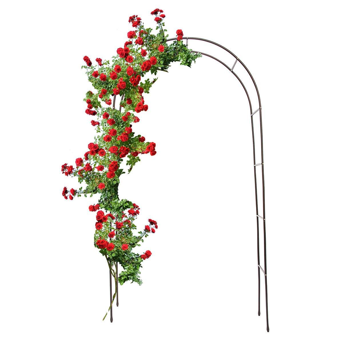 Arcada metalica de gradina pentru flori cataratoare, 200x38x140 cm