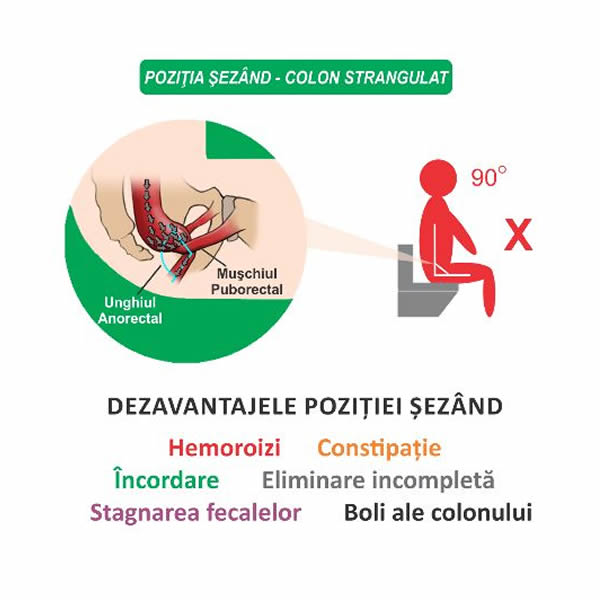 Taburet fiziologic WC impotriva constipatiei si hemoroizilor