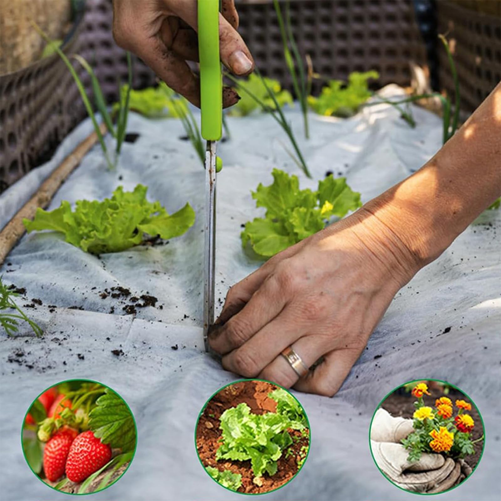 Folie microporoasa impotriva inghetului 23 gr/mp, 8 Metri