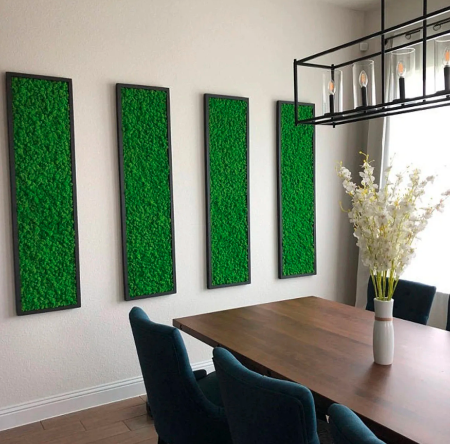 Licheni naturali stabilizati verzi, 500 grame