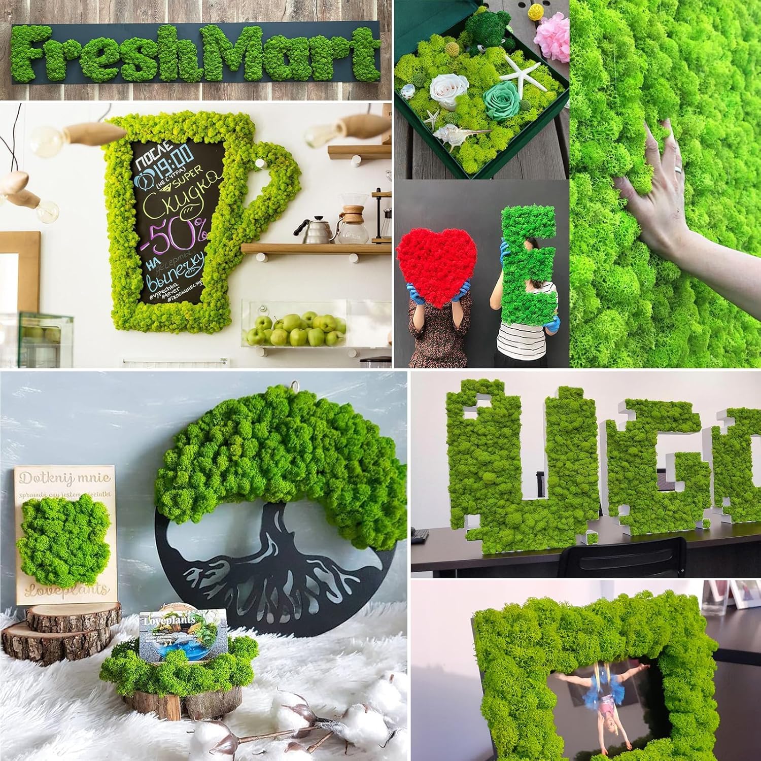 Licheni naturali stabilizati verzi, 500 grame