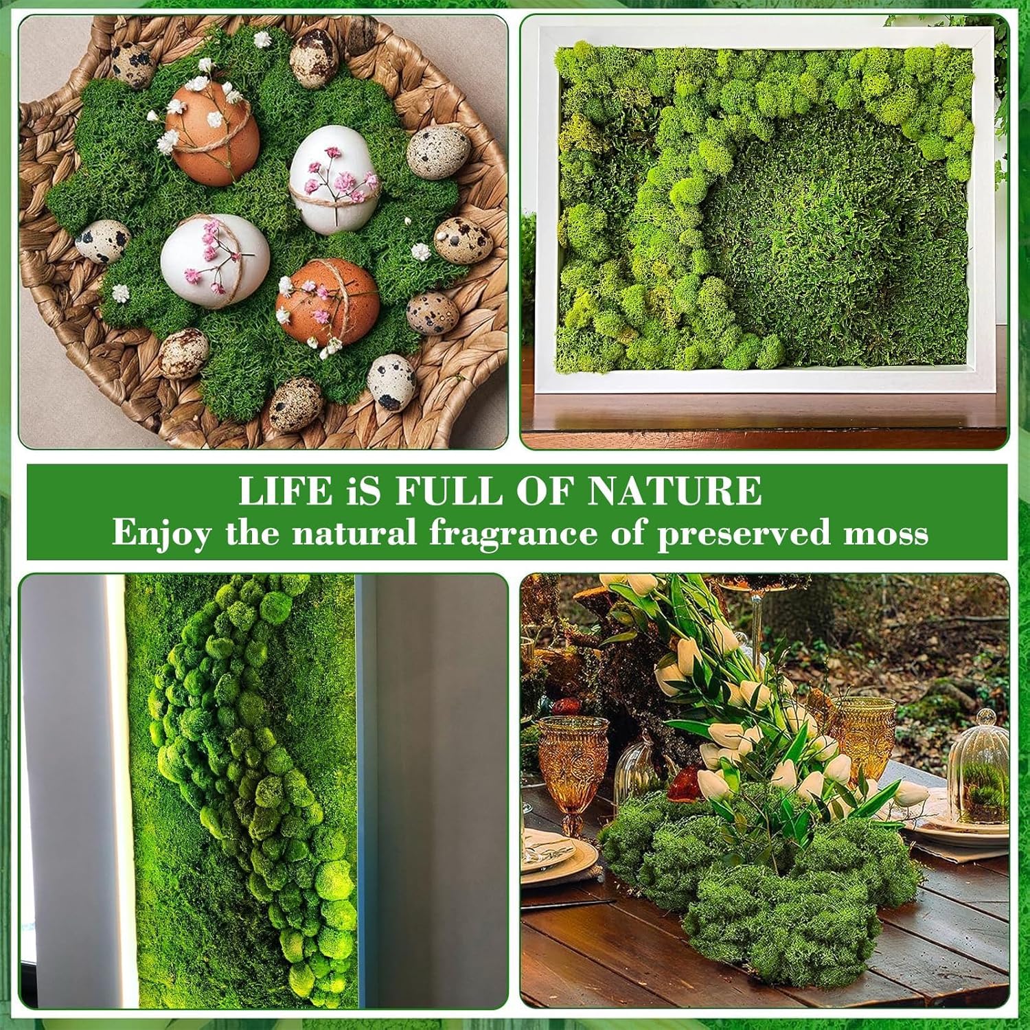 Licheni naturali stabilizati verzi, 500 grame