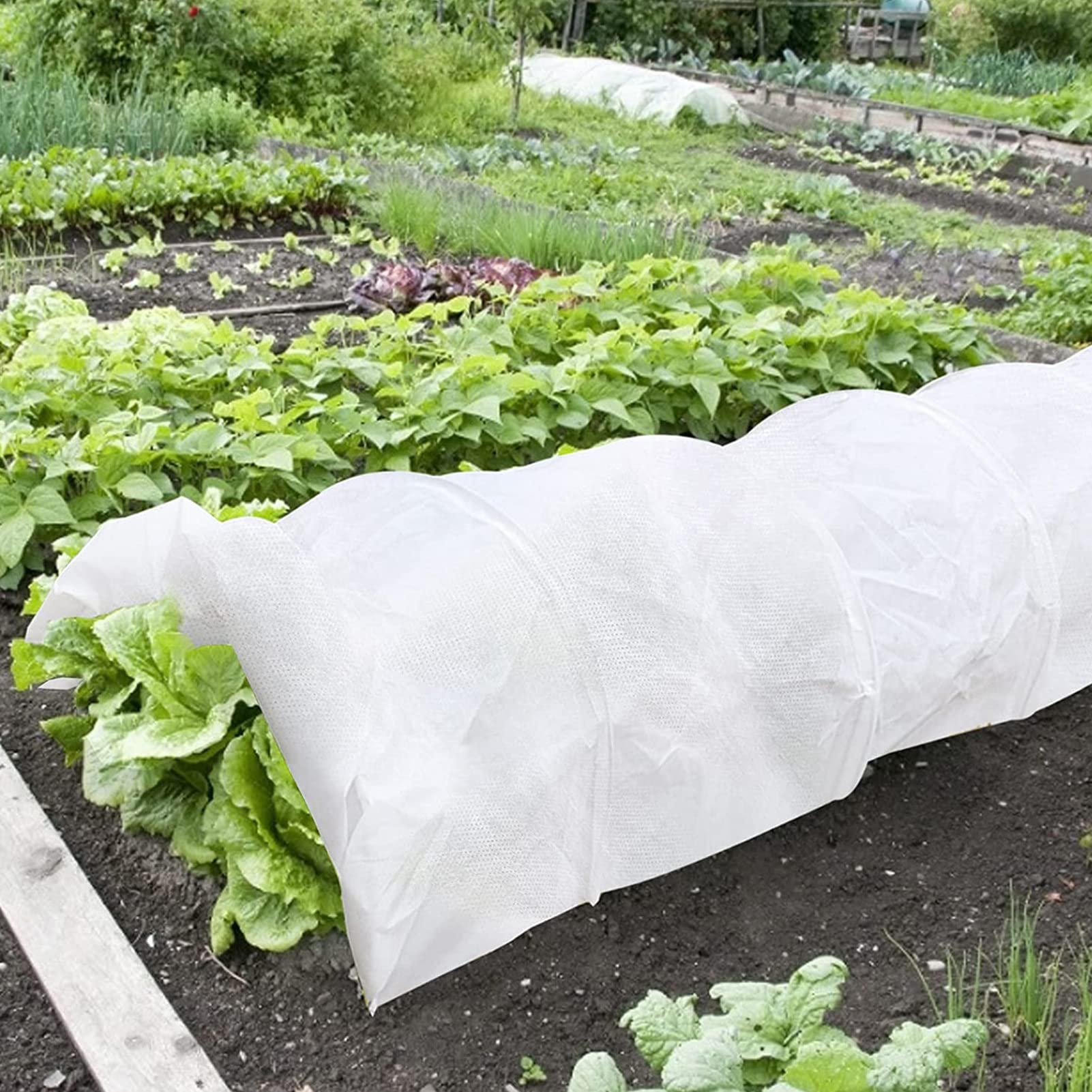 Folie microporoasa impotriva inghetului 23 gr/mp, 3.2 Metri