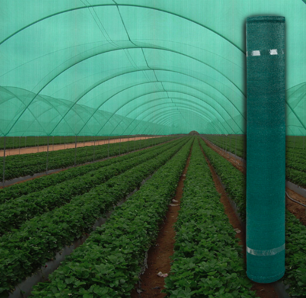 Plasa verde umbrire, 4 M inaltime + Cadou 50 coliere, Opacitate 40%