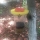 Set 3 capcane pentru muste Flies Away - produs non toxic