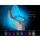 Dozator pasta de dinti + Suport periute + Lampa led toaleta cu senzor