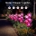 Set 2 x Lampa solara LED Orhidee