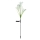 Set 2 x Lampa solara Crini 70 cm, IP66, LED cu Senzor Lumina