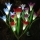 Set 2 x Lampa solara Crini 70 cm, IP66, LED cu Senzor Lumina