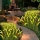 Set 2 x Lampa solara tip iarba verde ornamentala