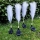 Set 2 x Lampa solara 70 cm, Pampas, lumina calda, IP66