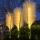 Set 2 x Lampa solara 70 cm, Pampas, lumina calda, IP66