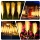 Set 2 x Lampa solara 70 cm, Pampas, lumina calda, IP66