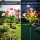 Set 2 x Lampa solara Bujori Roz 60 cm, iluminat ambiental gradina