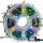 Instalatie LED fir 100 M, rola 500 LED, Multicolor