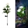 Set 2 x Lampa solara Trandafir Alb, 3 flori LED