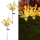 Set 2 x Lampa solara LED - flori de rapita