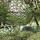 Plasa de umbrarire tip camuflaj, 3x2 Metri