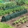 Set 3 x Tunel protectie plante 300x45 cm