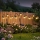 Set 2 x Lampa solara 6 felinare, IP44, LED Alb cald