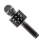 Microfon Karaoke Bluetooth WS-858